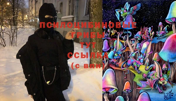 каннабис Арсеньев